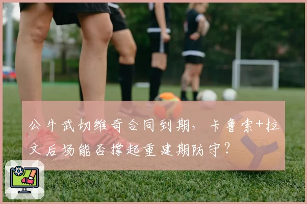 公牛武切维奇合同到期,卡鲁索+拉文后场能否撑起重建期防守?
