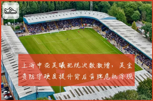 上海申花吴曦犯规次数激增,吴金贵防守硬度提升背后黄牌危机浮现